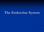 The Endocrine System