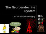 The Neuroendocrine System