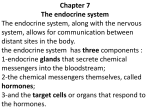 CLinical Manifestations