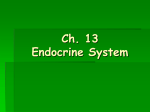 Endocrine System PPT - Effingham County Schools