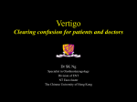 vertigo-MS version