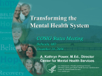 Achieving the Promise: Mental Health Transformation and