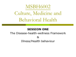 MSBH6002 Culture, Medicine and Behavioral Health