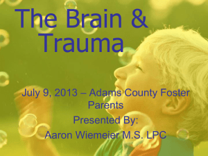 The Brain & Trauma