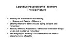 Cognitive Psychology II - Memory The Big Picture Memory as