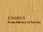 EXODUS - Holy Family Church – A welcoming eucharistic