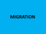 CGC – migration, multiculturalism