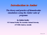Amber 8