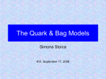 The Quark & Bag Models