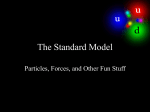 The Standard Model - Stony Brook University