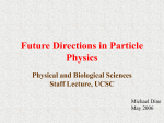 Future Directions in Particle Physics