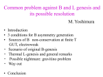 Common problem against B and L genesis and its possible resolution