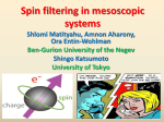 Spin filtering in mesoscopic systems