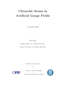 Ultracold Atoms in Artificial Gauge Fields by Tobias Graß PhD Thesis