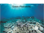 Chapter 13 Ocean Productivity