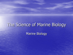 The Science of Marine Biology