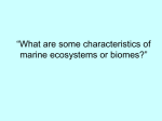What are some characteristics of marine ecosystems