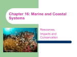 Chapter 16: Marine and Costal Systems