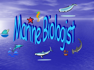 Marine Biology - Buncombe County Schools