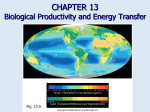 Biological-Productivity-and-Energy-Transder