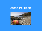 3.20Ocean Pollution