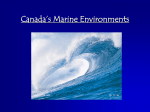 Canada`s Marine Environments