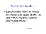 MB 20 : Marine Biology