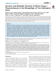 Genomic and Metabolic Diversity of Marine Group I