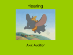 Hearing - AP Psychology