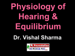 Physiology of Hearing & Equilibrium