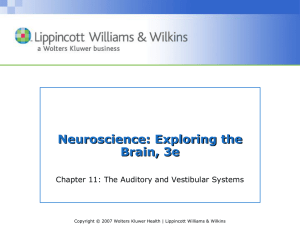 Chapter 11: The Auditory and Vestibular Systems