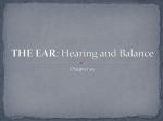 THE EAR: Hearing and Balance