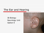 The Ear and Hearing - Bishop Amat Memorial High School