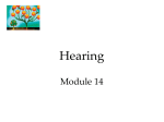 Hearing Module 14 - Clayton Valley Charter High School