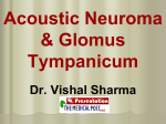 Acoustic Neuroma & Glomus Tympanicum