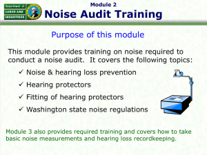 Noise Audits WISHA - Training