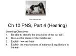 Ch 13 PNS, Part III (Hearing)