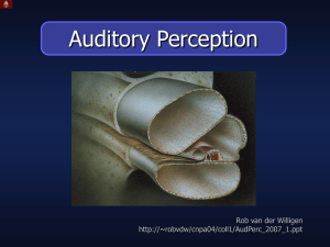 Auditory Perception P1