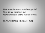 SENSATION & PERCEPTION