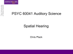 Spatial Hearing
