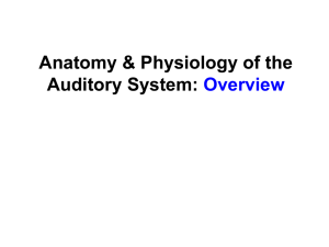 Anatomy & Physiology Overview