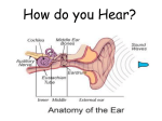 Sound Vibrations and the Ear