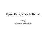 Eyes, Ears, Nose & Throat