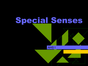 Special Senses
