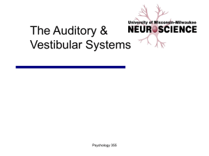 03 Auditory & Vestibular Systems
