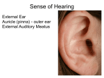 Hearing - RuthenbergAP