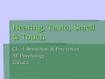 Hearing, Taste, Smell & Touch