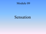Psych B – Module 9