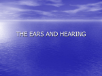 ears - berlinanatomy