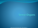 Sense Organs - mohamadtermos